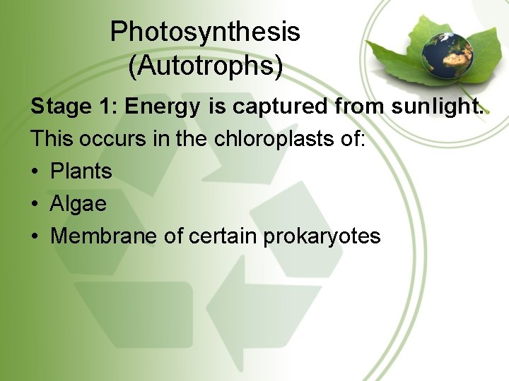 Photosynthesis (Autotrophs) Stage 1: Energy is captured from sunlight. This occurs in the chloroplasts