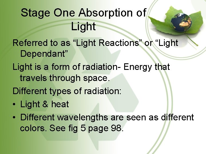 Stage One Absorption of Light Referred to as “Light Reactions” or “Light Dependant” Light