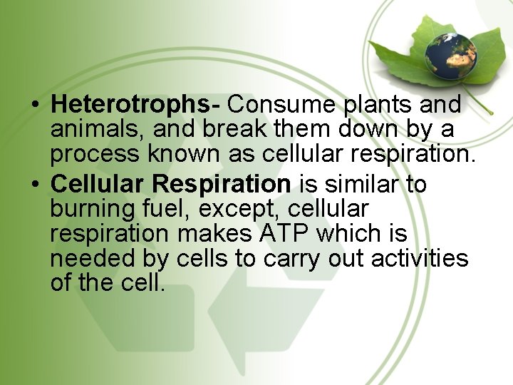  • Heterotrophs- Consume plants and animals, and break them down by a process
