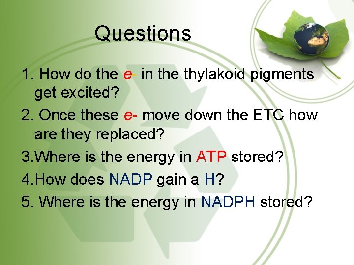 Questions 1. How do the e- in the thylakoid pigments get excited? 2. Once