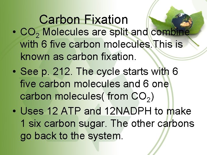 Carbon Fixation • CO 2 Molecules are split and combine with 6 five carbon