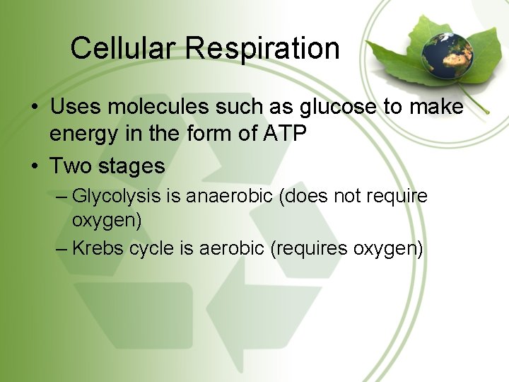 Cellular Respiration • Uses molecules such as glucose to make energy in the form