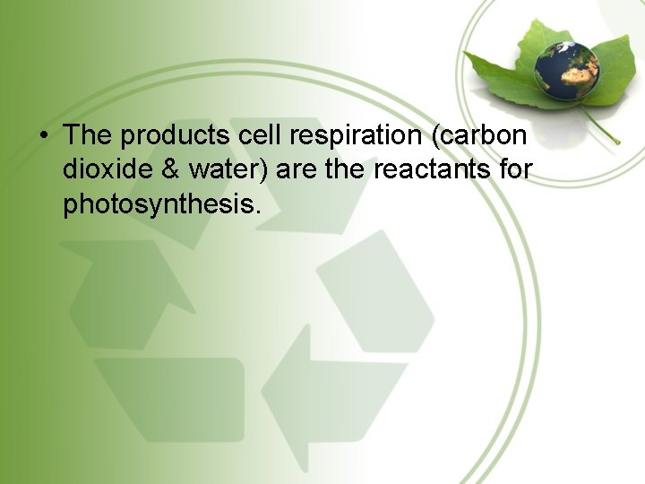  • The products cell respiration (carbon dioxide & water) are the reactants for