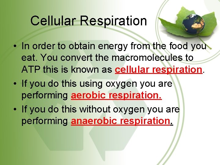 Cellular Respiration • In order to obtain energy from the food you eat. You