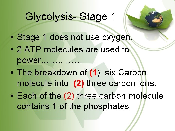 Glycolysis- Stage 1 • Stage 1 does not use oxygen. • 2 ATP molecules