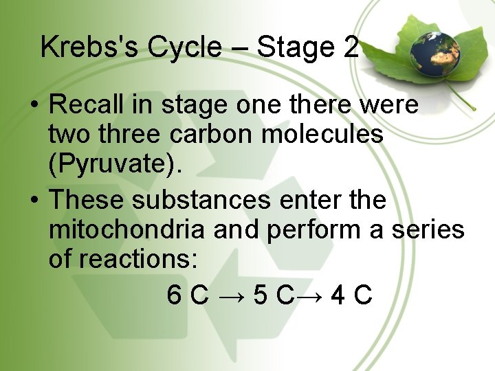 Krebs's Cycle – Stage 2 • Recall in stage one there were two three