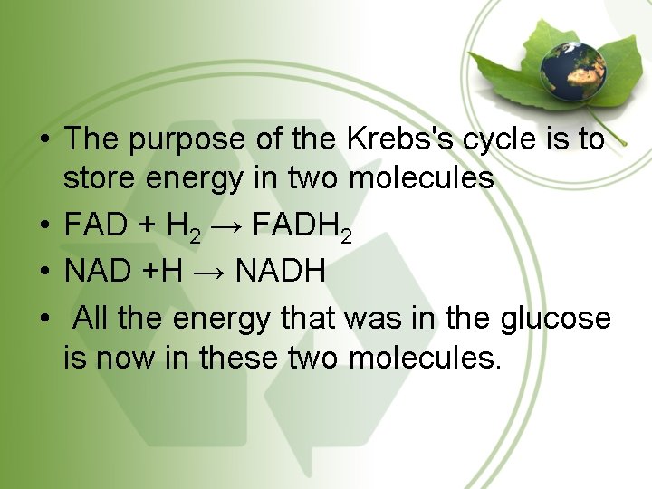 • The purpose of the Krebs's cycle is to store energy in two