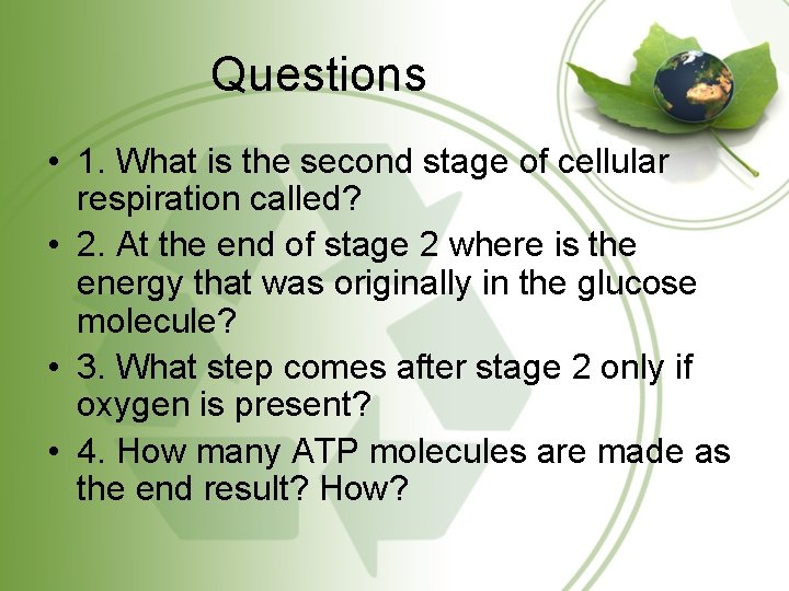 Questions • 1. What is the second stage of cellular respiration called? • 2.