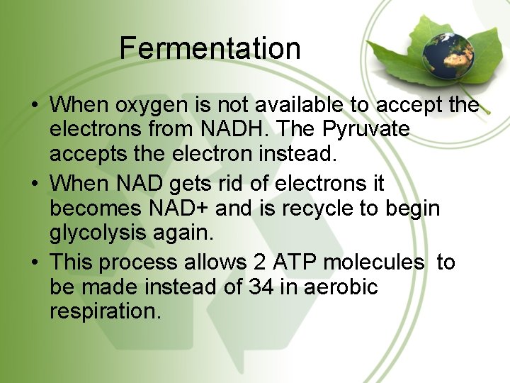 Fermentation • When oxygen is not available to accept the electrons from NADH. The