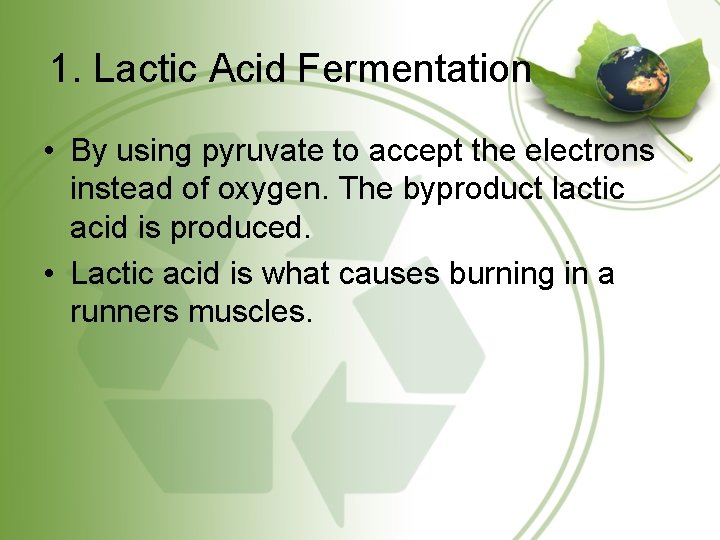 1. Lactic Acid Fermentation • By using pyruvate to accept the electrons instead of