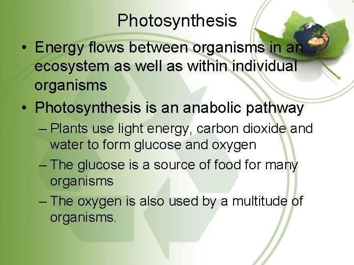 Photosynthesis • Energy flows between organisms in an ecosystem as well as within individual