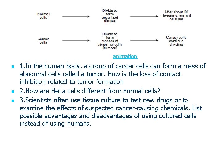 animation n 1. In the human body, a group of cancer cells can form