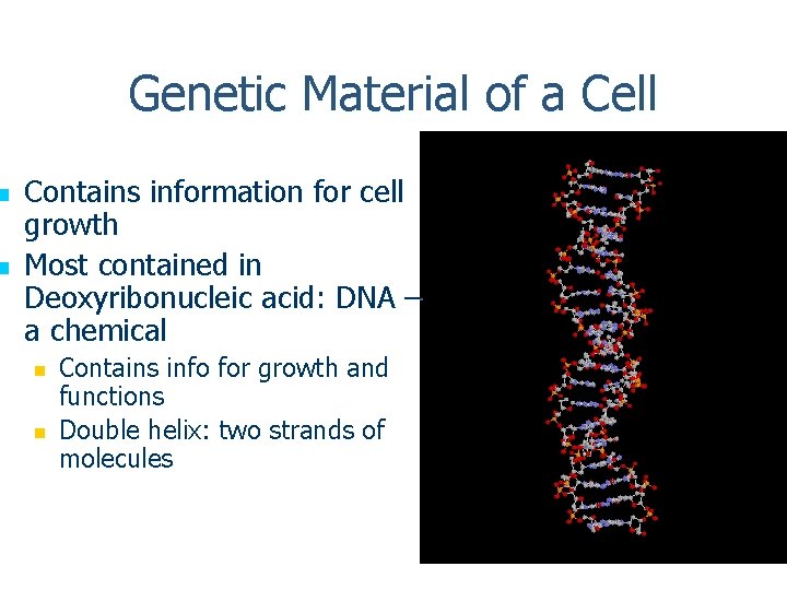 n n Genetic Material of a Cell Contains information for cell growth Most contained