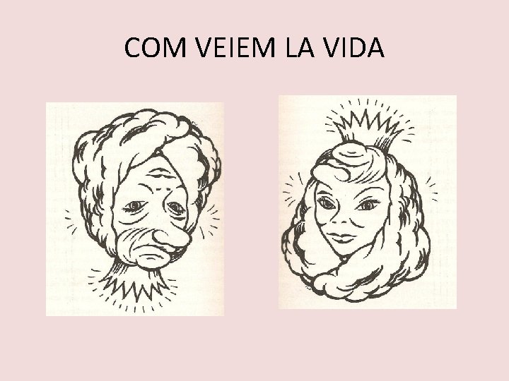 COM VEIEM LA VIDA 