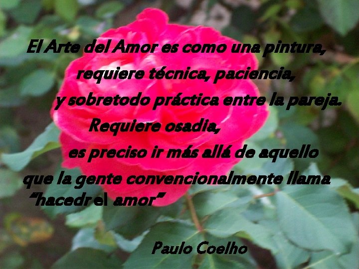 El Arte del Amor es como una pintura, requiere técnica, paciencia, y sobretodo práctica