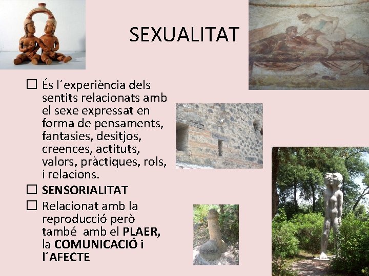 SEXUALITAT � És l´experiència dels sentits relacionats amb el sexe expressat en forma de