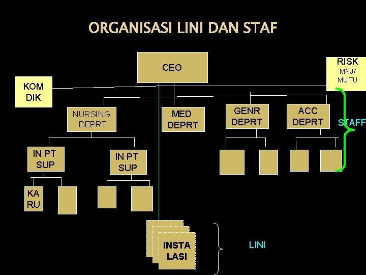 ORGANISASI LINI DAN STAF RISK CEO MNJ/ MUTU KOM DIK MED DEPRT NURSING DEPRT