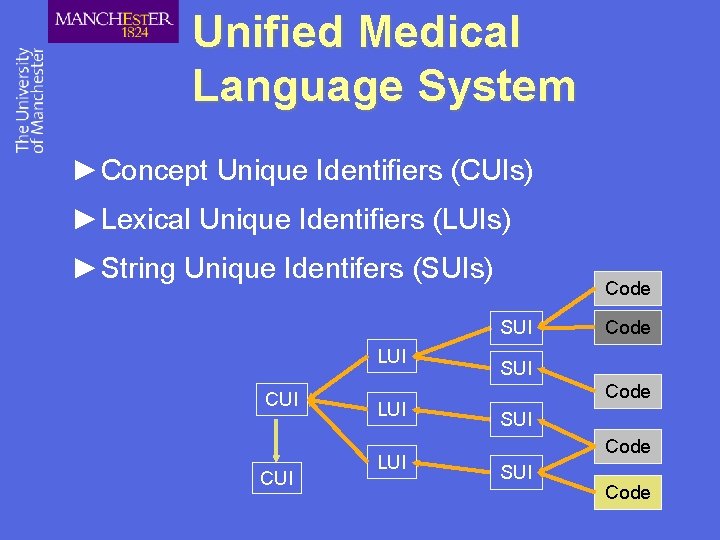 Unified Medical Language System ►Concept Unique Identifiers (CUIs) ►Lexical Unique Identifiers (LUIs) ►String Unique