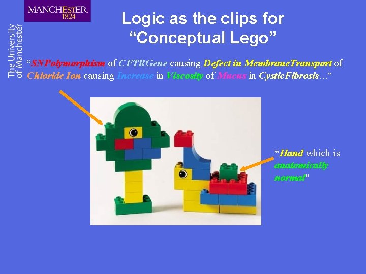 Logic as the clips for “Conceptual Lego” “SNPolymorphism of CFTRGene causing Defect in Membrane.