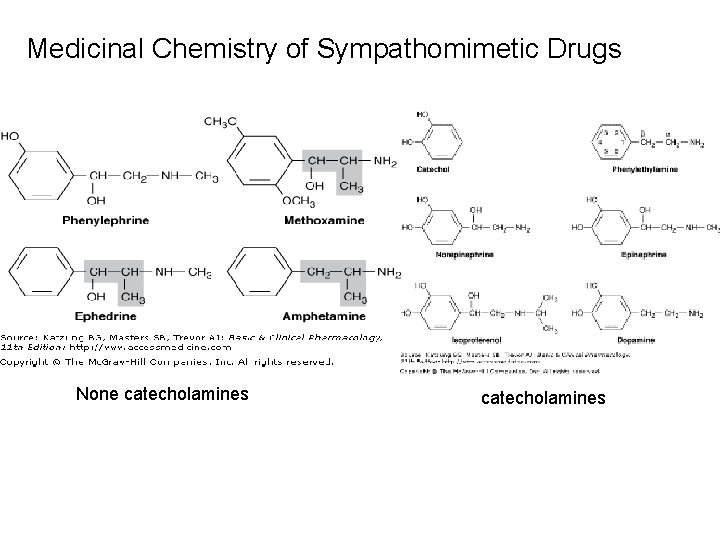 Medicinal Chemistry of Sympathomimetic Drugs None catecholamines 