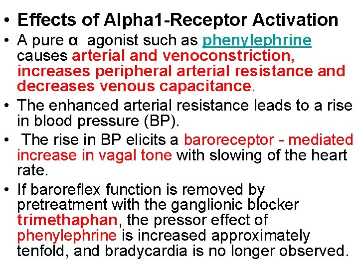  • Effects of Alpha 1 -Receptor Activation • A pure α agonist such