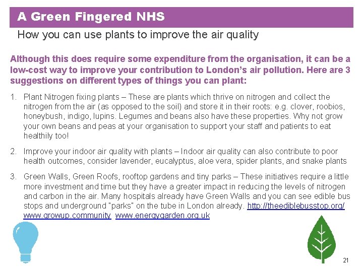 A Green Fingered NHS How you can use plants to improve the air quality