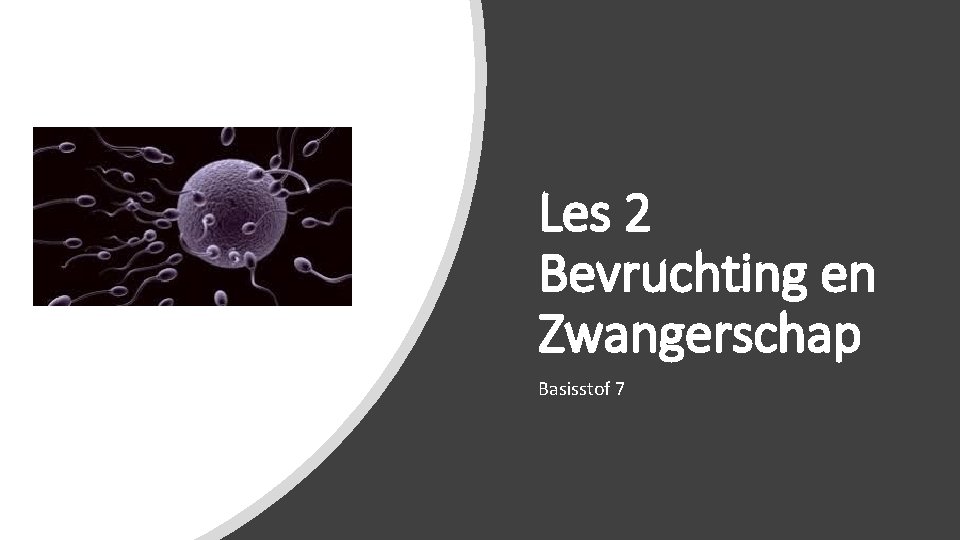 Les 2 Bevruchting en Zwangerschap Basisstof 7 