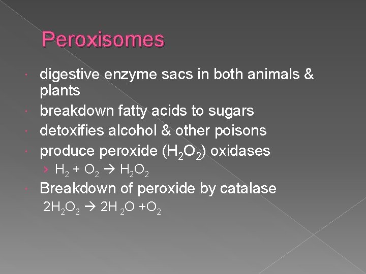 Peroxisomes digestive enzyme sacs in both animals & plants breakdown fatty acids to sugars