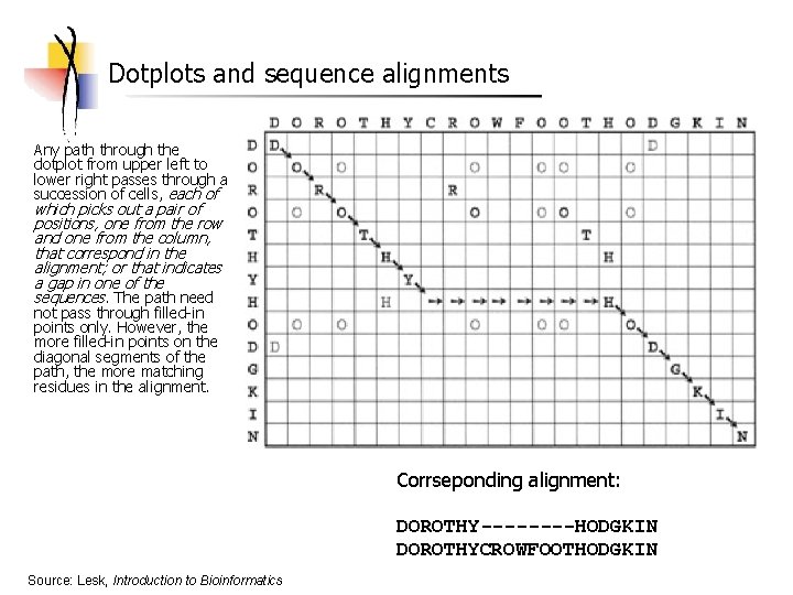 Dotplots and sequence alignments Any path through the dotplot from upper left to lower