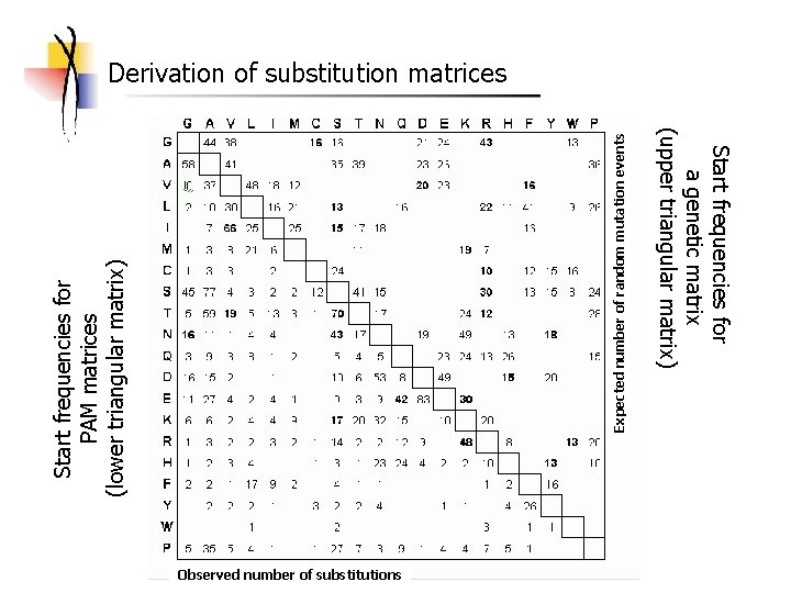 Observed number of substitutions Start frequencies for a genetic matrix (upper triangular matrix) Expected