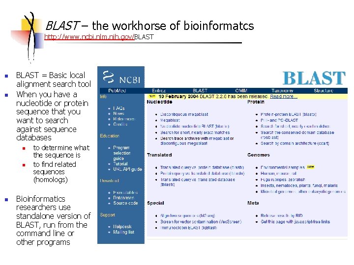 BLAST – the workhorse of bioinformatcs http: //www. ncbi. nlm. nih. gov/BLAST n n