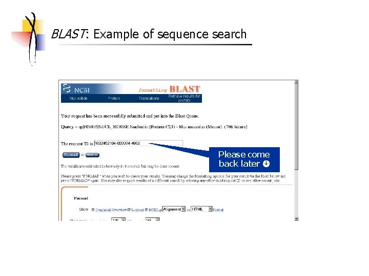 BLAST: Example of sequence search Please come back later 