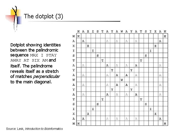 The dotplot (3) Dotplot showing identities between the palindromic sequence MAX I STAY AWAY