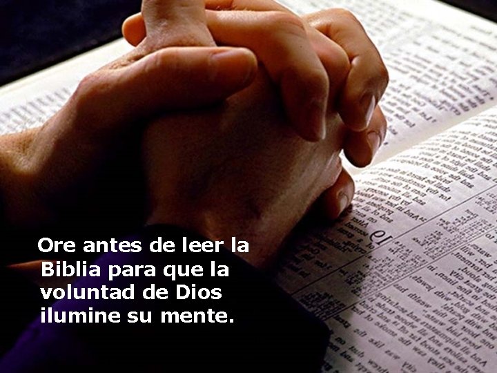 Ore antes de leer la Biblia para que la voluntad de Dios ilumine su