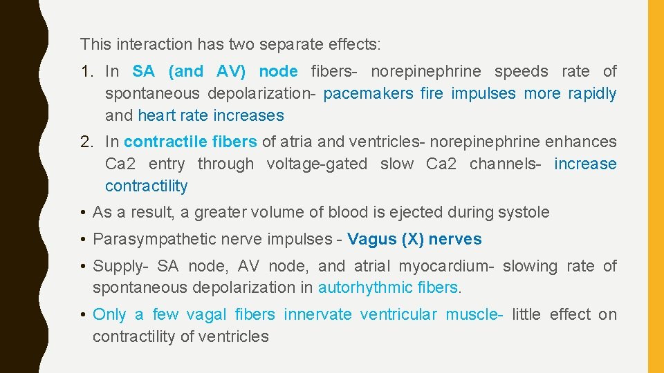 This interaction has two separate effects: 1. In SA (and AV) node fibers- norepinephrine