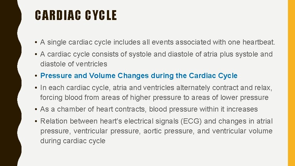 CARDIAC CYCLE • A single cardiac cycle includes all events associated with one heartbeat.