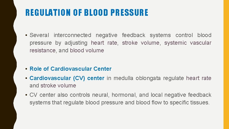 REGULATION OF BLOOD PRESSURE • Several interconnected negative feedback systems control blood pressure by