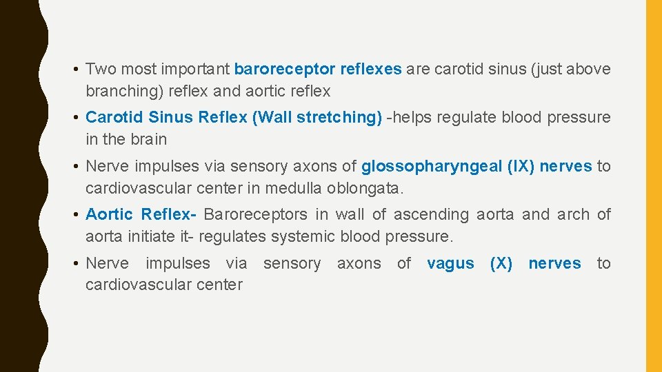  • Two most important baroreceptor reflexes are carotid sinus (just above branching) reflex