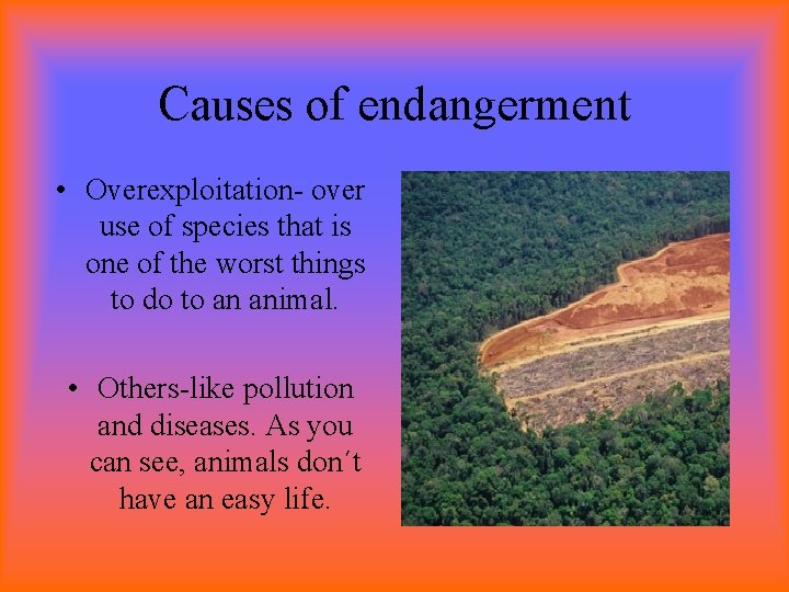 Endangered Species Causes of endangered species All the