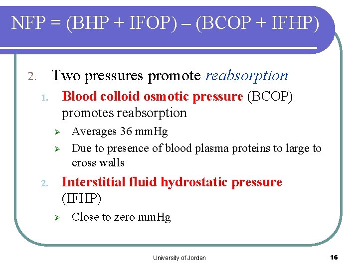 NFP = (BHP + IFOP) – (BCOP + IFHP) Two pressures promote reabsorption 2.