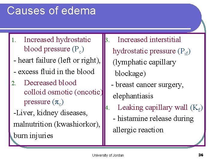 Causes of edema Increased hydrostatic 3. Increased interstitial blood pressure (Pc) hydrostatic pressure (Pif)