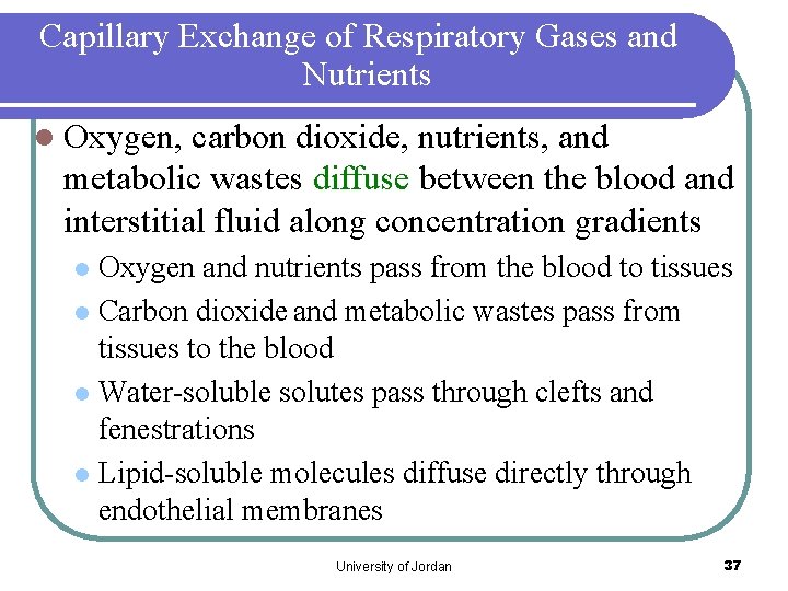 Capillary Exchange of Respiratory Gases and Nutrients l Oxygen, carbon dioxide, nutrients, and metabolic