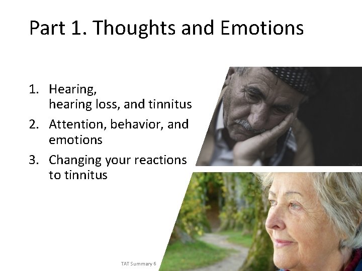 Part 1. Thoughts and Emotions 1. Hearing, hearing loss, and tinnitus 2. Attention, behavior,