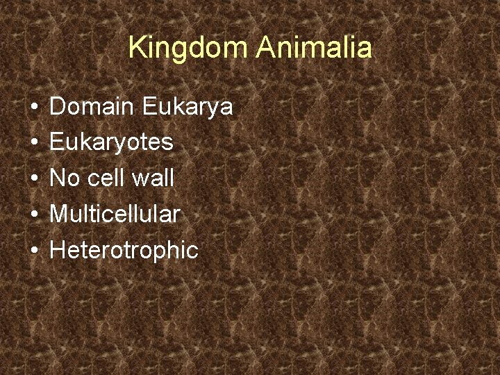 Kingdom Animalia • • • Domain Eukarya Eukaryotes No cell wall Multicellular Heterotrophic 