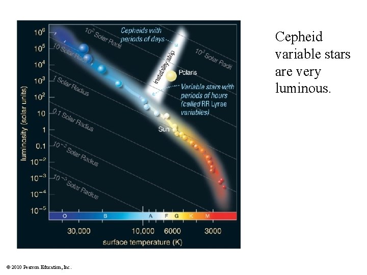 Cepheid variable stars are very luminous. © 2010 Pearson Education, Inc. 