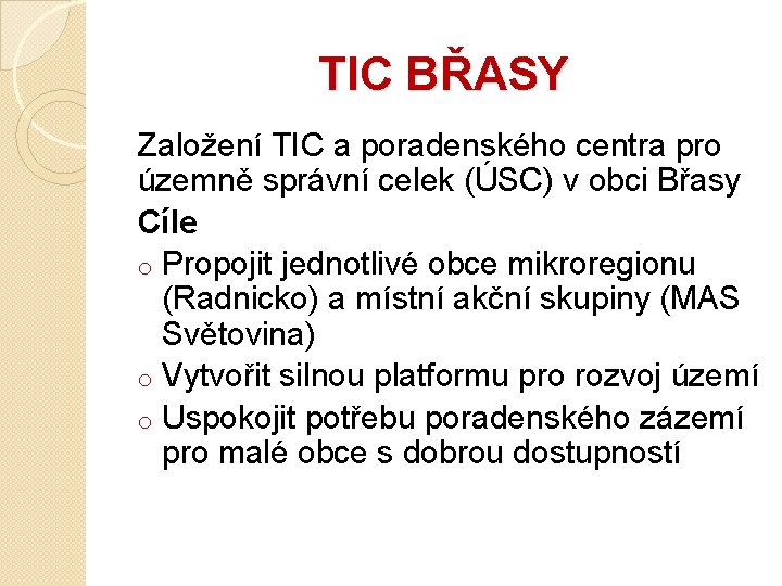 TIC BŘASY Založení TIC a poradenského centra pro územně správní celek (ÚSC) v obci