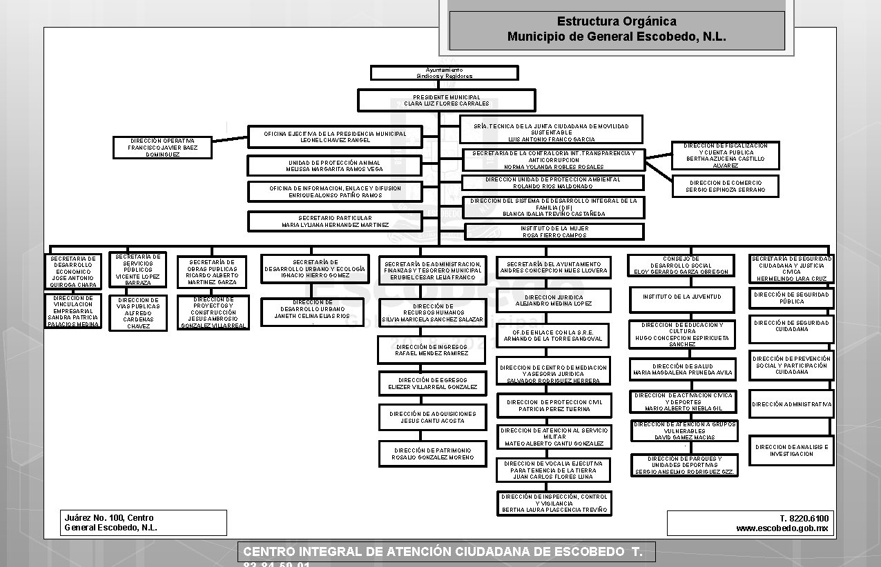 Estructura Orgánica Municipio de General Escobedo, N. L. Ayuntamiento Síndicos y Regidores PRESIDENTE MUNICIPAL