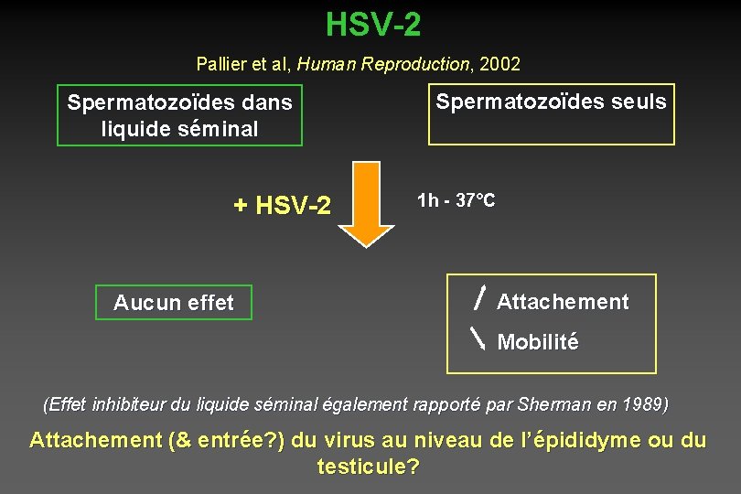 HSV-2 Pallier et al, Human Reproduction, 2002 Spermatozoïdes dans liquide séminal + HSV-2 Aucun