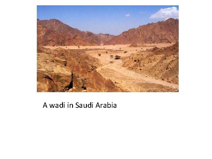 A wadi in Saudi Arabia 