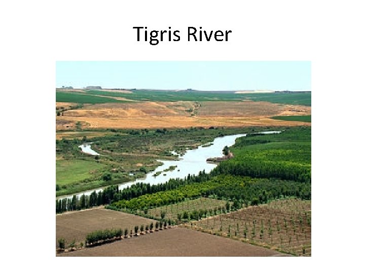 Tigris River 